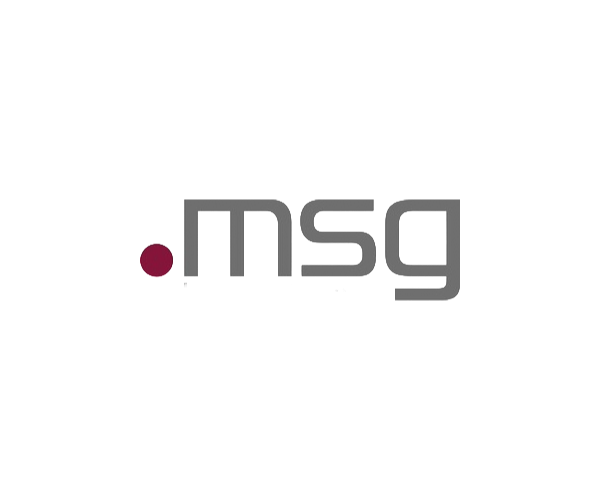 msg Logo